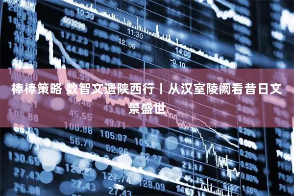 棒棒策略 数智文遗陕西行丨从汉室陵阙看昔日文景盛世