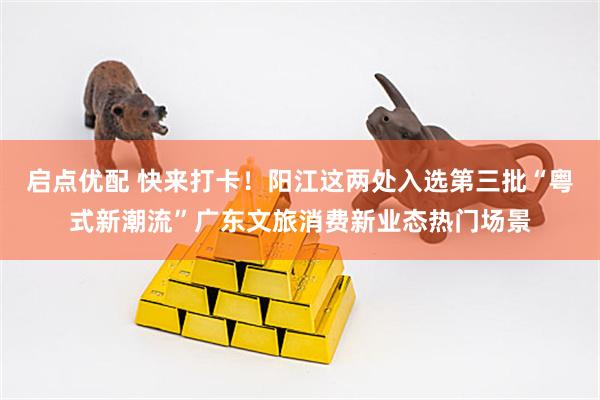 启点优配 快来打卡！阳江这两处入选第三批“粤式新潮流”广东文旅消费新业态热门场景