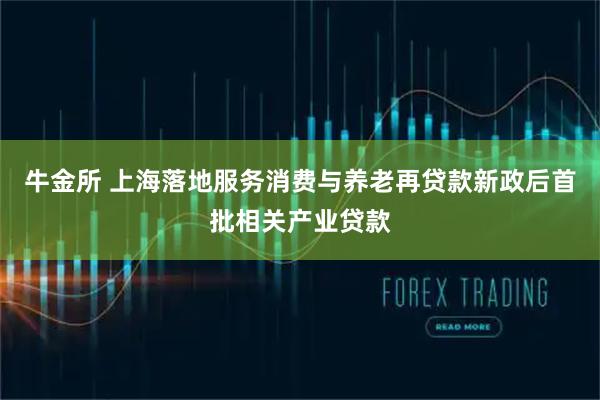 牛金所 上海落地服务消费与养老再贷款新政后首批相关产业贷款