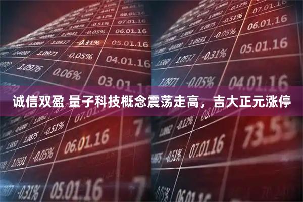 诚信双盈 量子科技概念震荡走高，吉大正元涨停