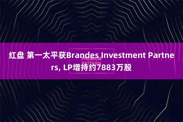 红盘 第一太平获Brandes Investment Partners, LP增持约7883万股