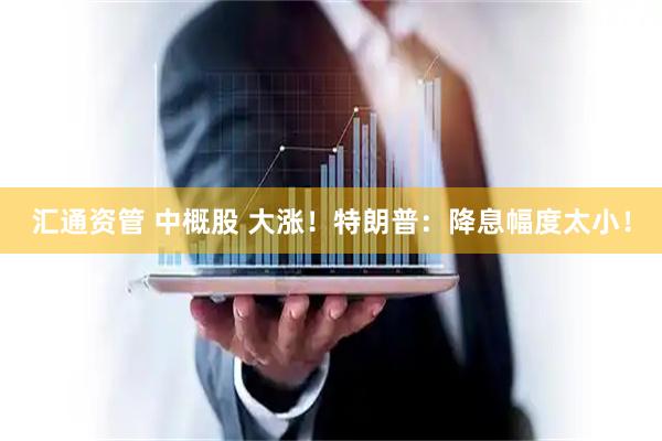 汇通资管 中概股 大涨！特朗普：降息幅度太小！