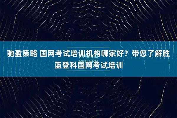 驰盈策略 国网考试培训机构哪家好？带您了解胜蓝登科国网考试培训